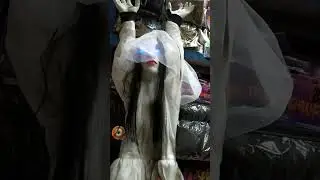 WHITE LADY || #whitelady #youtubeshort #shortvideo #trending #viral