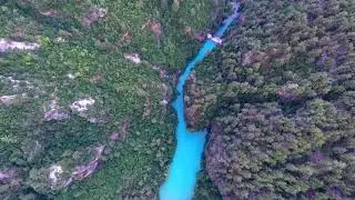 Free Stock Footage   River bank