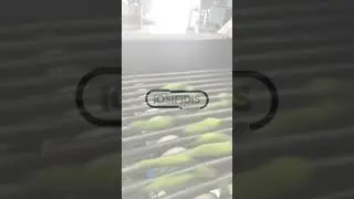 IOSIFIDIS GROUP - PEPPER GRADING MACHINE