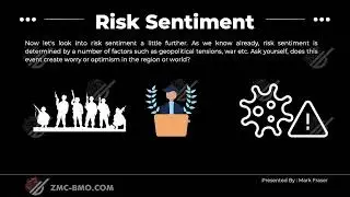 005 Risk Sentiment