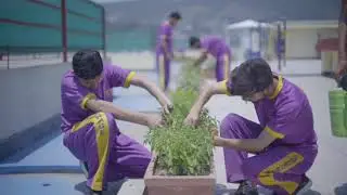 Virtual Tour 2021 | Modernage Public School | Boys Campus| MAPS ATD