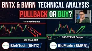BioNTech (BNTX) & BioMarin (BMRN) Technical Analysis: Pullback or Buy Opportunity?