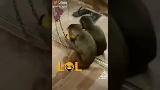 #lol😂😛🤣#funny video😂#fightingforlife #lynvlog 💞💖