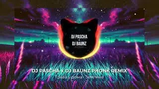 Trawa u Doma Phonk Remix |&nbsp;Трава у дома - Земляне |&nbsp;DJ PASCHA x DJ BAUNZ