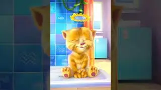 Talking Ginger app 