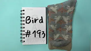 Draw 1,000 Birds With Me Roseate Spoonbill 3 of 10