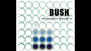 Bush - Letting The Cables Sleep [Original Demo] (Audio)