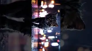The Lost Cat&rsquo;s Journey | Cinematic Short Story | Ultra Realistic Cat Movie #CatStory # AnimalStory