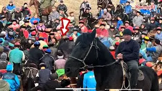 Ищеничтуу Ат сатылат+996-779-210-599. 17 января 2026 г.