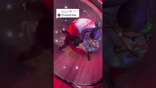 Funny hamster wheel prank