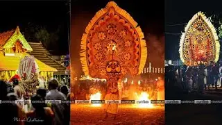 40ൽ പരം വാദ്യകലാകാരന്മാർ അണിനിരന്ന പഞ്ചാരിമേളം 🥰താഴൂർ അശ്വതി ഉത്സവം 🎇✨ #shorts