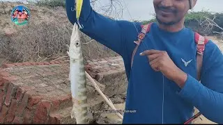வேம்பாரில் மீன் பிடிக்கும் காட்சி 
