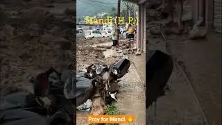 Cloudburst in Mandi, Himachal 💔 | Pray for Mandi 🙏| Massive Damage & Casualties | #Shorts#mandi#love