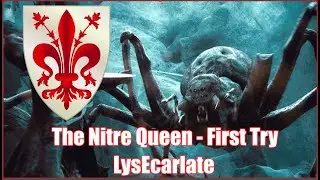 Mortal Online 2 - LysEcarlate | NITRE QUEEN First try  ( gone wrong )