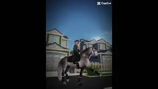 🤍  #starstableonline#sso#horse#trending#equestrian#sellefrancais#funny #starstable#andalusian