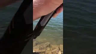 Johnson&rsquo;s lake, Raymore Missouri