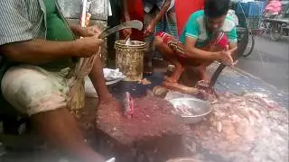 Most Fastest Fish Cutters |World Most Fish Cutting Worker In Fish Market