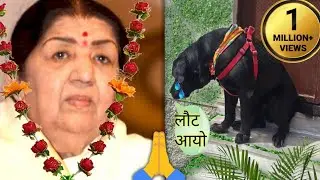 Lata mangeshkar viral dog heart touching video | Dog crying for his owner |