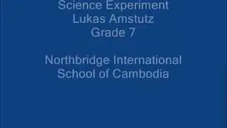 Generator Science Experiment, Lukas Amstutz, Grade 7