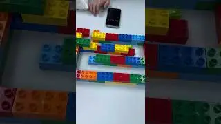 Bug in the maze