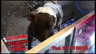 Dog wash Advert Final SDV with tel YTHD