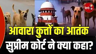 Supreme Court ने आवारा कुत्ते बनाम इंसानी सुरक्षा पर क्या कहा? Stray Dog | Public Safety |