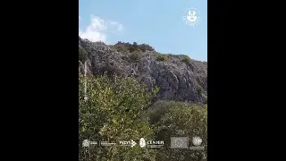 Monte Carmelo
