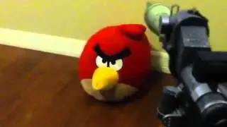 Angry Bird Died