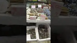 Discover the Secrets of Fresh Seafood: Expert Tips for Buying and Cooking  #food #vlog #china
