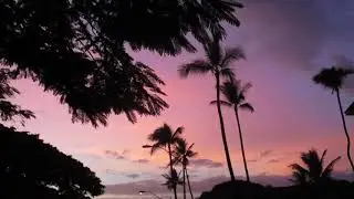 Tropical Paradise @ Sunset