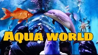 Binny mill fun fare 2023  | Aqua world fish aquarium PART 1 #aquarium #aquaworld