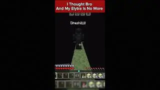 I Thought Bro And My Elytra Is No More 😅 #minecraft #shorts
