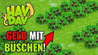 IHR M&Uuml;SST B&Uuml;SCHE ANPFLANZEN! Hay Day 🤑