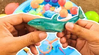 Amazing Sea Animals for Kids | Learn Ocean Creatures, Fun Facts & Cool Toys