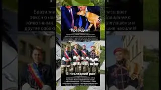 #интересныефакты