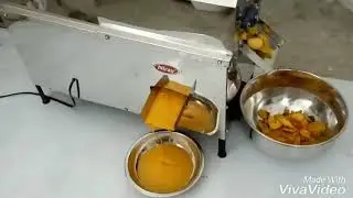 Mango juicer machine / Mango pulp making machine - Nirav brand