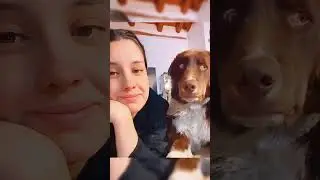 Dogs are the best friends of humans 🐶 #doglover #dog #lover