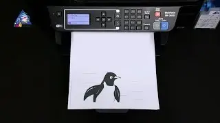 Epson WorkForce - скорость и мощь для вашего офиса