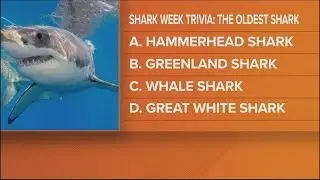 Shark Week Trivia: which shark can grow to become the oldest?