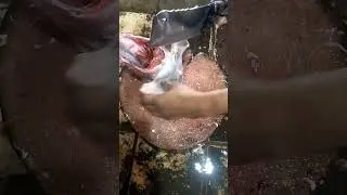 #chickencutting#foodprocess#satisfyingvideo#oddlysatisfying#foodreels#knifeSkills#butcherlife#fyp