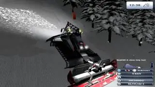 Damage Ski Region Simulator 2012