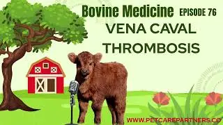 EP 76: Vena Caval Thrombosis in Cattle | Causes, Diagnosis & Veterinary Management |Pet Care Partner