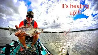 Non stop speckled trout fishing action from 2025