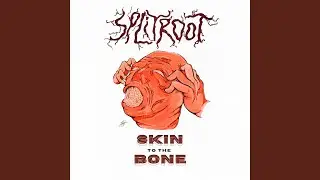 Skin to the Bone
