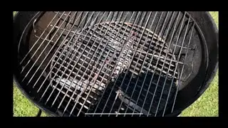 BBQ Grill Like New in 5 Minutes / Dino's Easy Meals