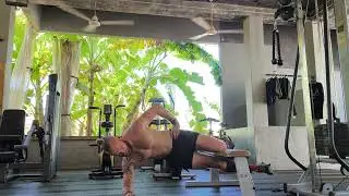 Copenhagen Plank Dips - knee level - on forearm