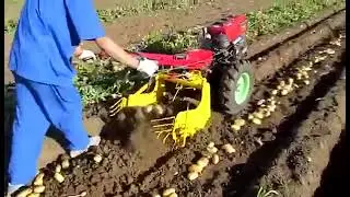 Hand Walking tractor mounted sweet potato harvester / potato harvester