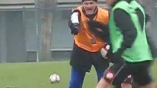 Tiger Bisoli