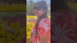 Floriade Festival
