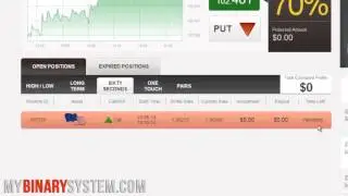 My Binary System Tutorial   BeeOptions